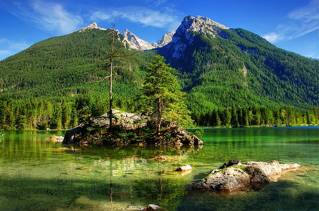 曼联的高层