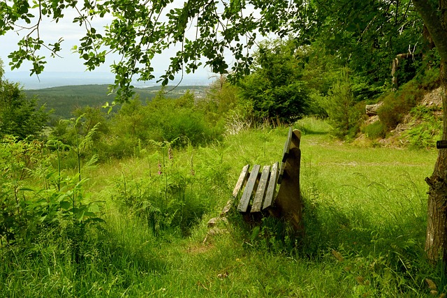 亲近期患有 亲近期患有