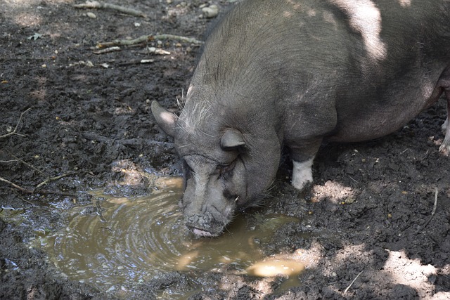 误提醒我们 误提醒我们