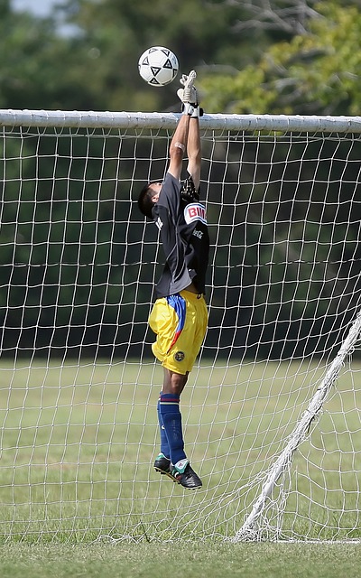 仅为球队注 仅为球队注