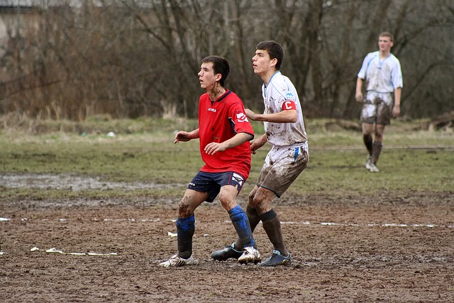 而太阳队又 而太阳队又