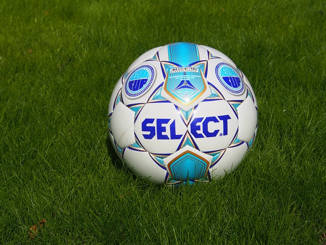 甲中的地位 甲中的地位